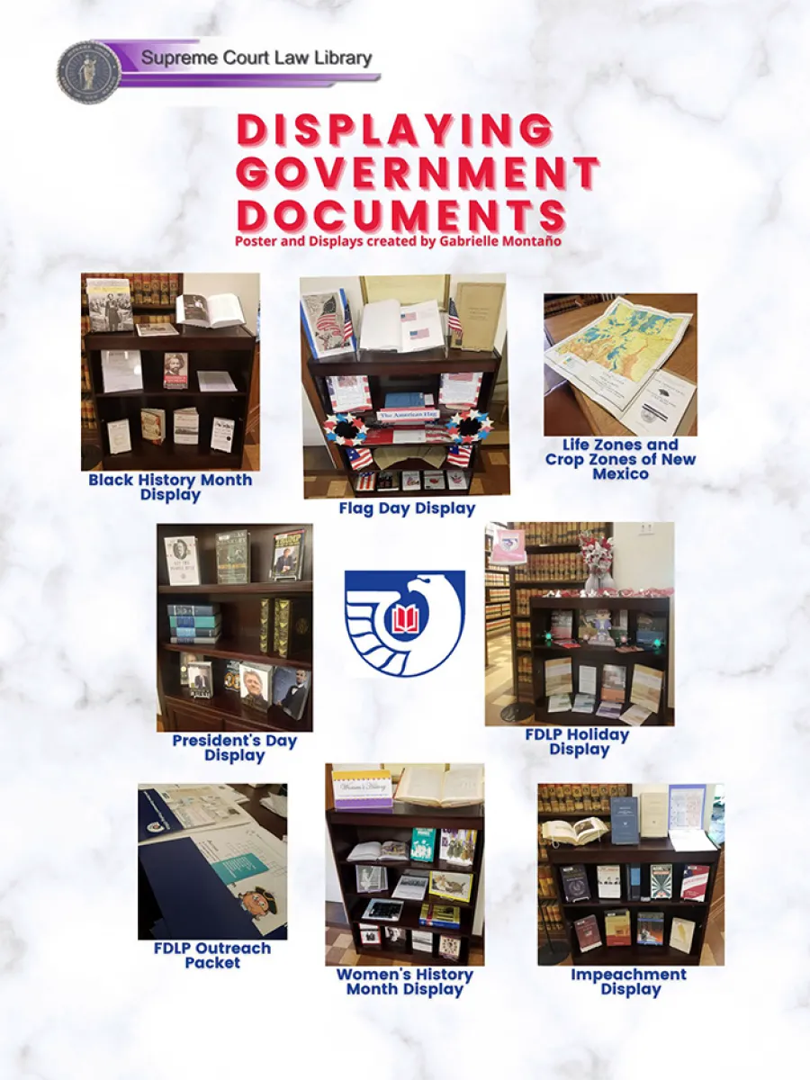 Displaying Government Documents